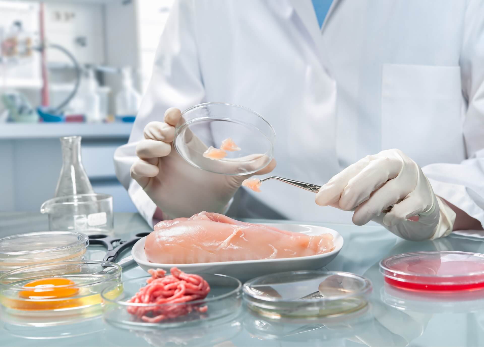 Poultry Testing Services