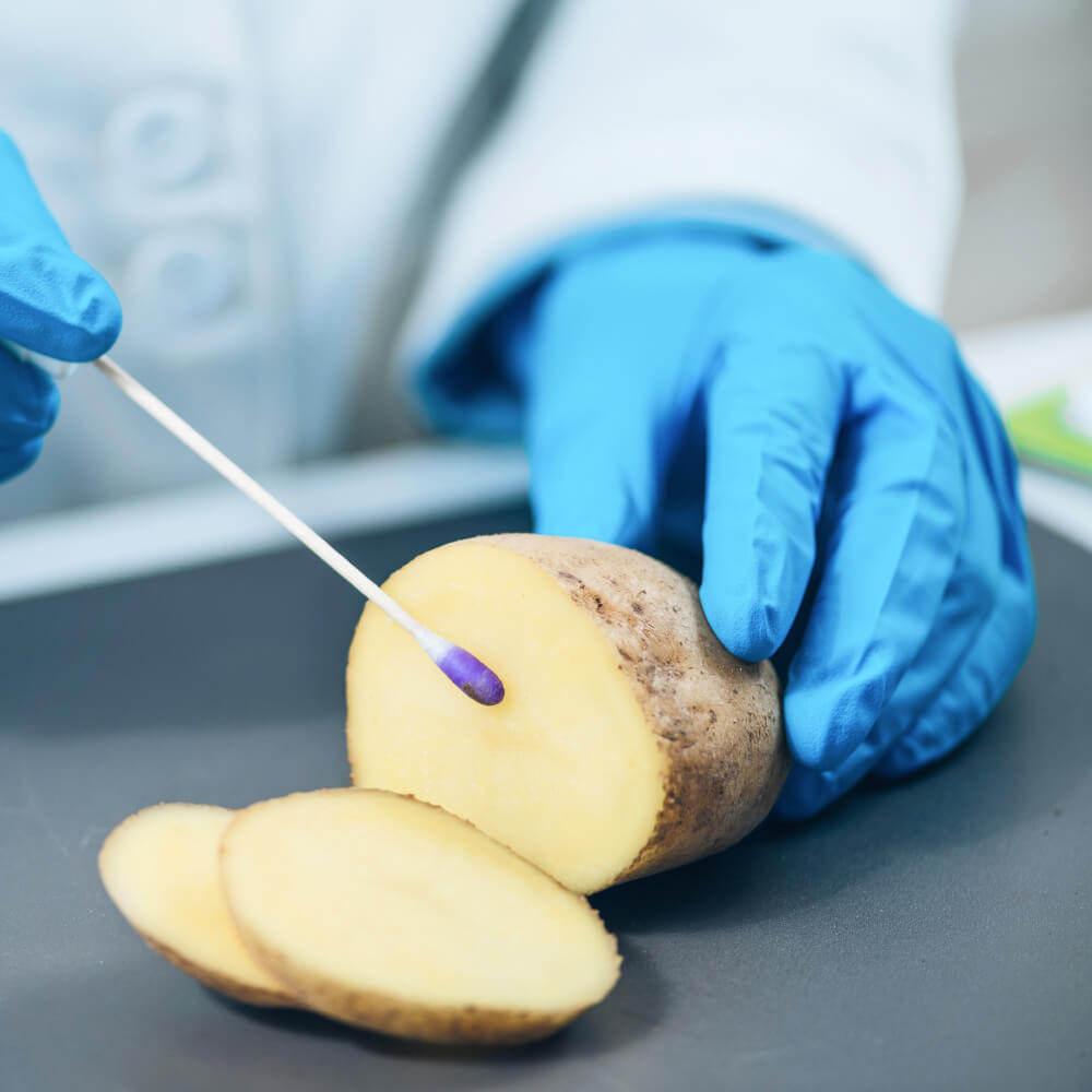Produce Testing Potato