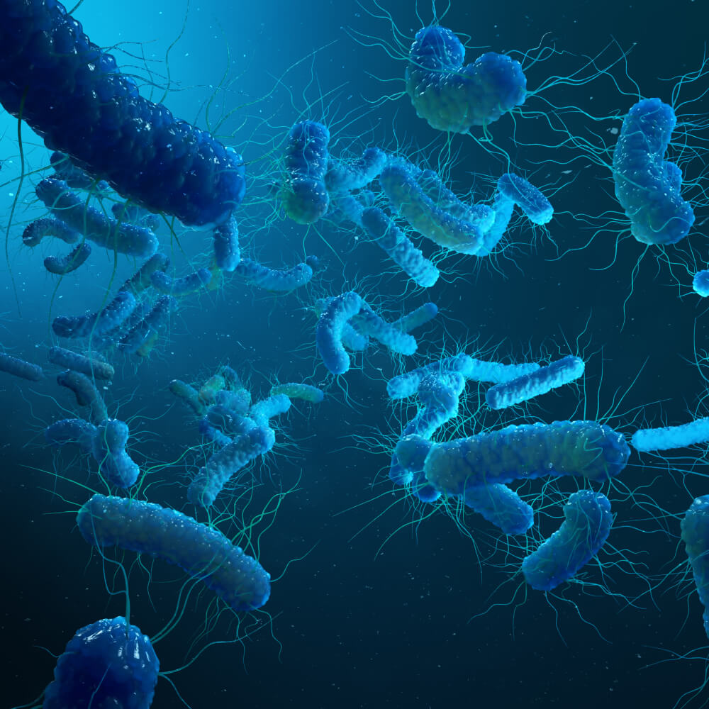 legionella testing water analysis residue testing