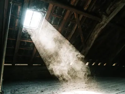 dust deposition analysis