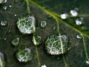 how to take environmental samples for the most accurate results